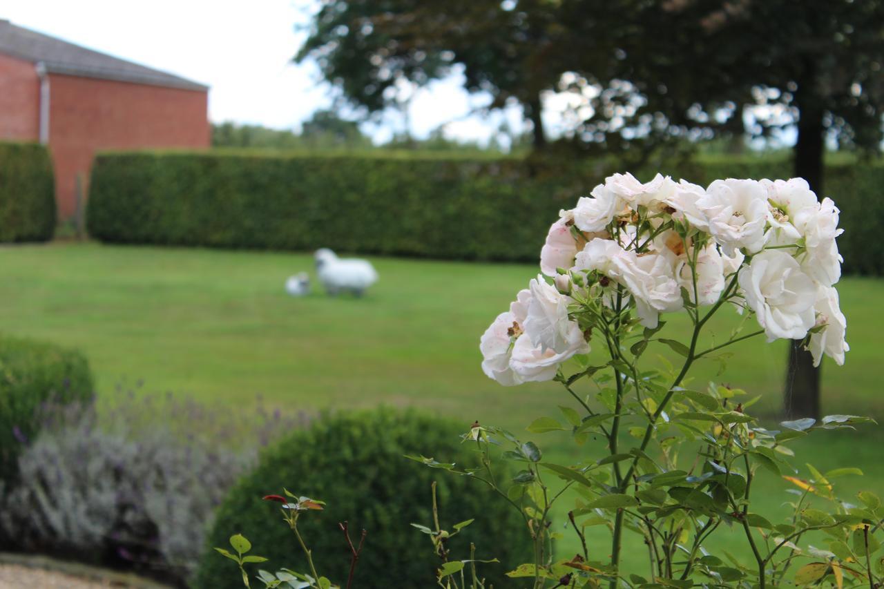 Bed and Breakfast Mille Etoiles Moorsel Exterior foto